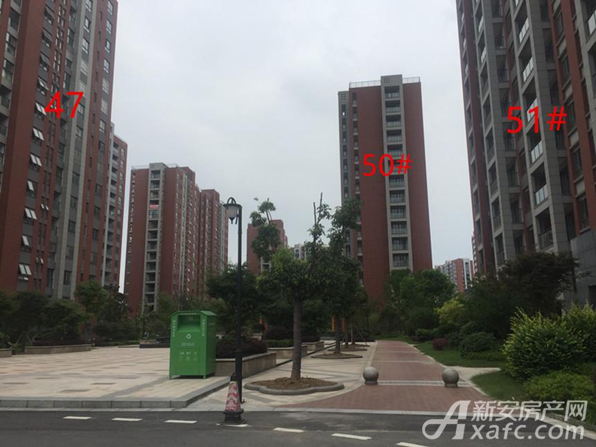 科技住宅 东方红郡7月份工程进度