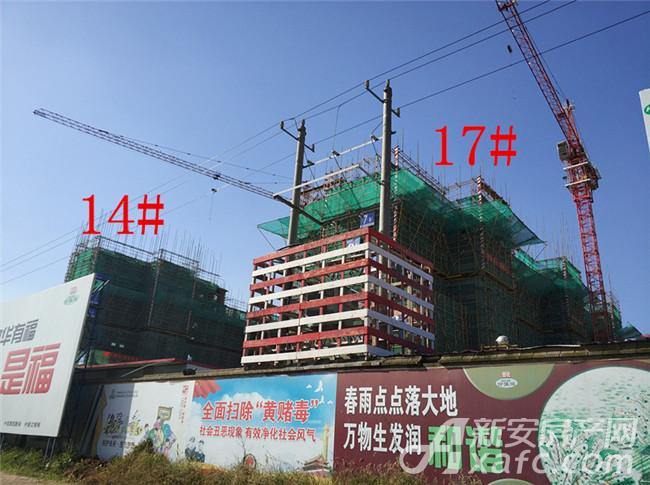 铜陵淮矿东方蓝海