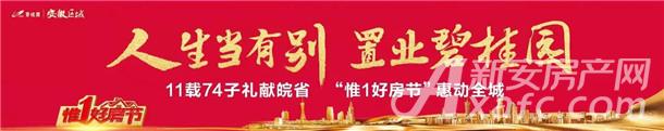 碧桂园·时代之光 碧桂园·时代之光