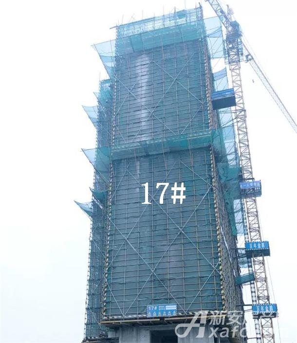 金鹏玲珑湾东院 1月工程进度 金鹏玲珑湾东院 1月工程进度