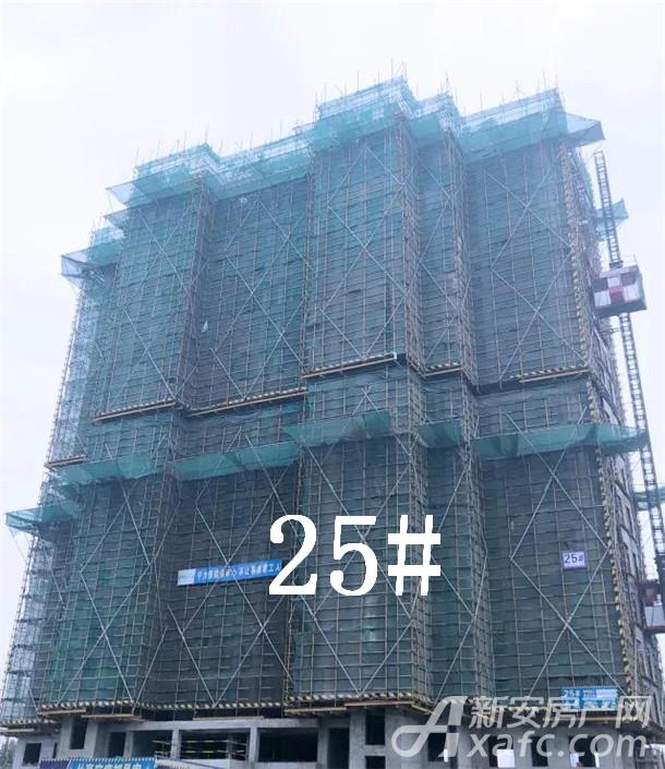 金鹏玲珑湾东院 1月工程进度 金鹏玲珑湾东院 1月工程进度