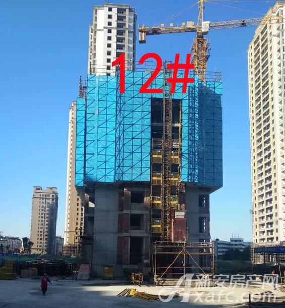 QQ图片20180125094900.jpg