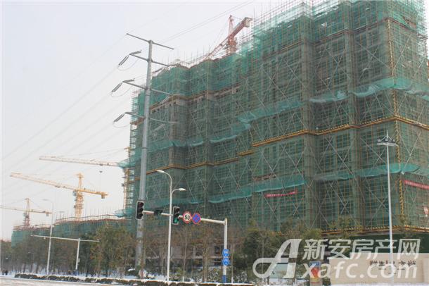 祥生东方樾项目进度.JPG 祥生东方樾项目进度.JPG