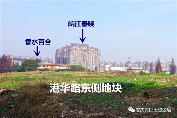 横穿独秀大道,华中东路,文苑路,沿江东路,等城市主干道,是西向东交通