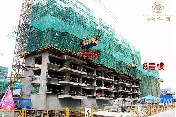 阜南碧桂园7#8#项目进度 阜南碧桂园7#8#项目进度