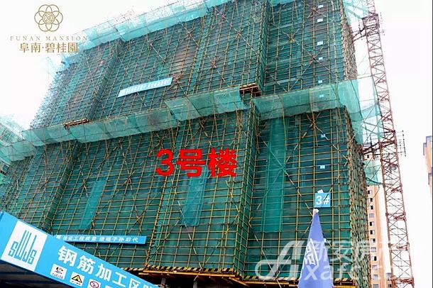 阜南碧桂园3#项目进度 阜南碧桂园3#项目进度