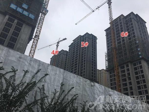 观湖名居工程进度 观湖名居工程进度