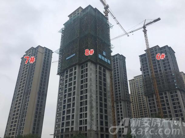 观湖名居工程进度 观湖名居工程进度