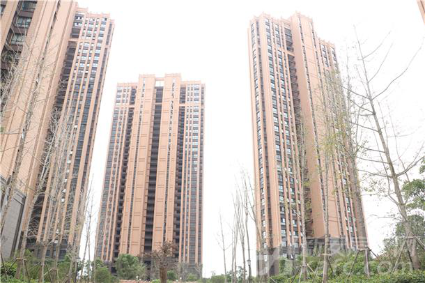 广和花园现房实景图 广和花园现房实景图