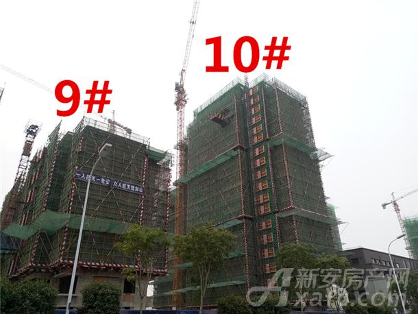 来自琥珀东华府10月的项目进度敬请您亲启!