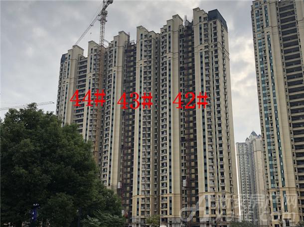 【恒大绿洲】11月项目进度 52#楼建至6层左右