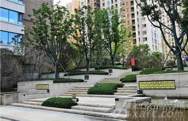 百悦府实拍图 百悦府实拍图
