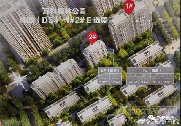1月11日,物价局新增备案,庐阳区万科森林公园备案d5地块1#,2#,3