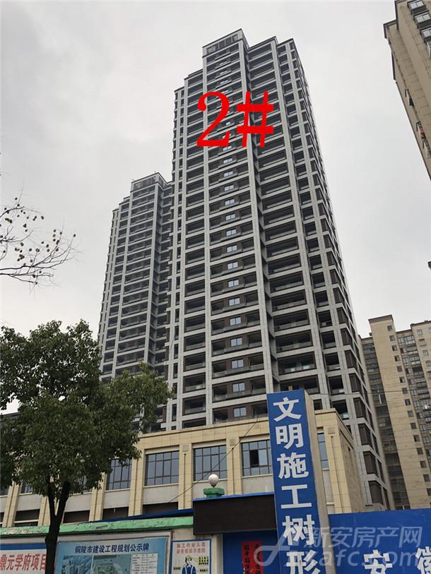 拍摄时间:2月19日 拍摄地点:鼎元学府项目地 楼盘地址:【铜官区】铜陵