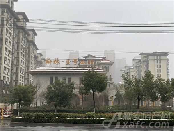 IMG_0897.JPG