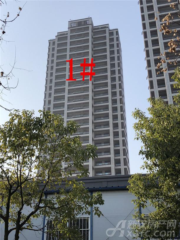 鼎元学府1#楼 鼎元学府1#楼
