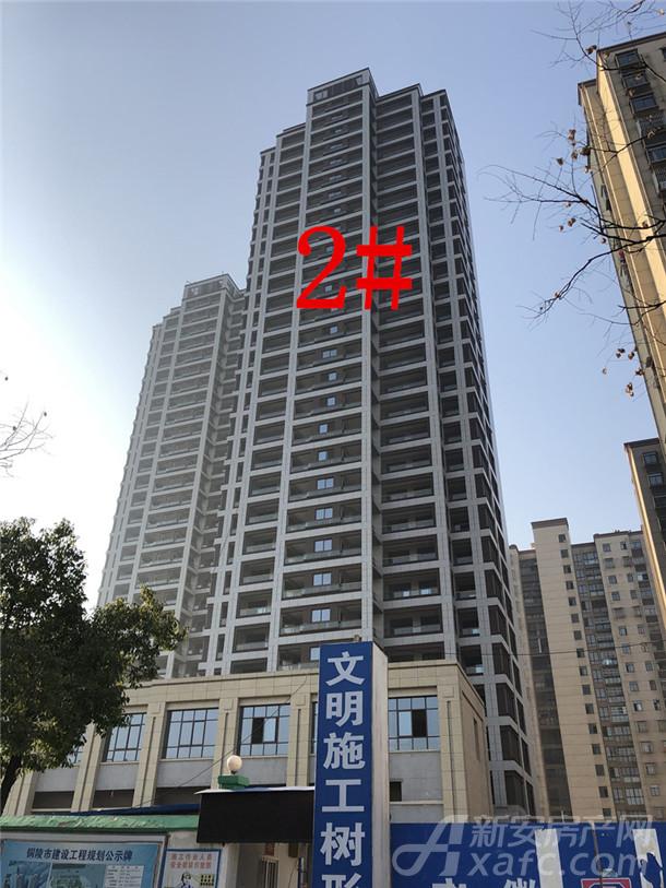 鼎元学府2#楼 鼎元学府2#楼