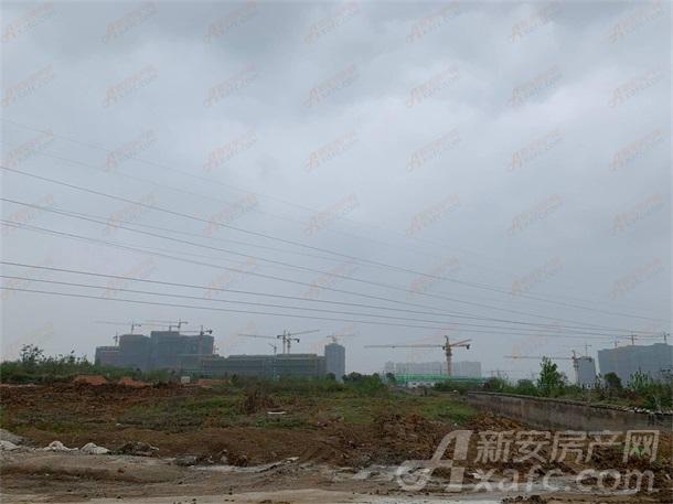看地报告肥西[2019]6地块位于上派镇芮祠路与司空山路交口西南侧地块.