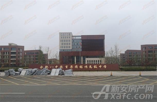 滨湖西117亩居住地马上拍卖!紧邻合肥八中教育集团