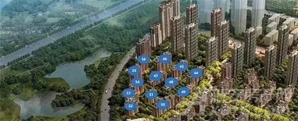 信达公园里 信达公园里