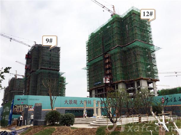 淮南东方蓝海6月工程进度:东侧楼栋外立面建设中