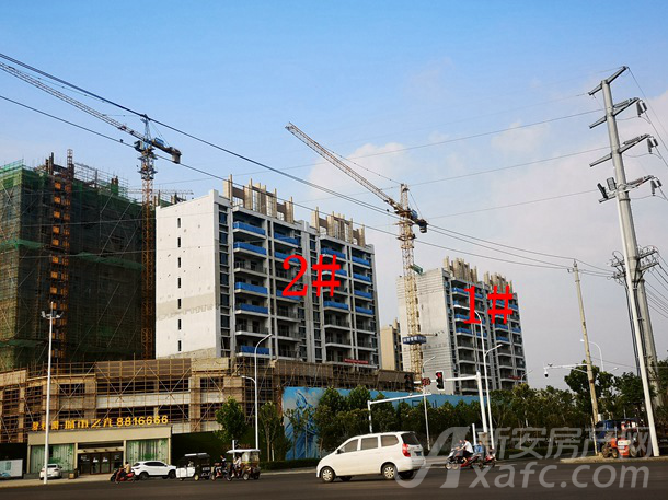 碧桂园城市之光6月份项目进度沿街高层正在封顶