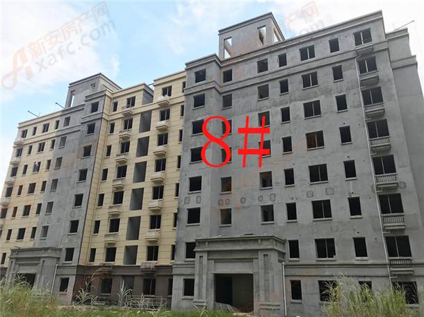 8#860.jpg