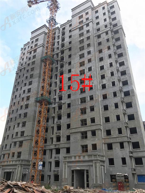 15#860.jpg