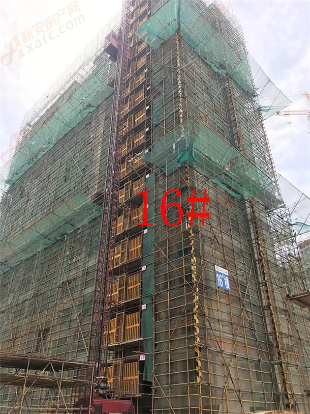 16#860.jpg