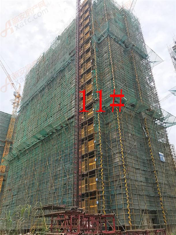 11#860.jpg