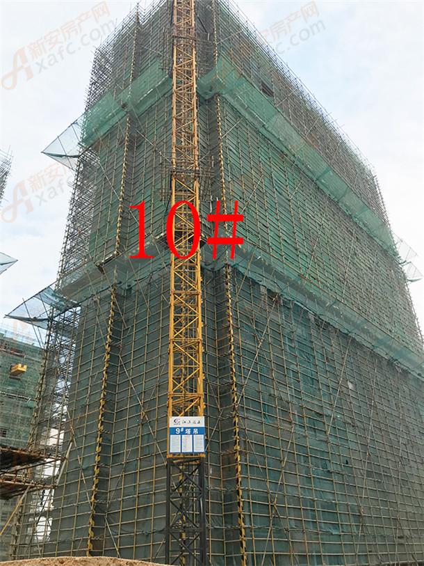 10#860.jpg