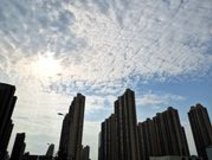 新房导购