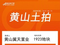 新房导购