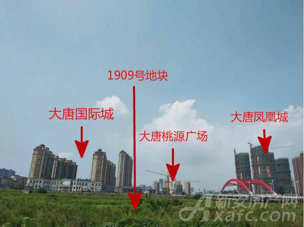 1909号地块实景 1909号地块实景