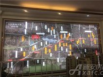 新安关注