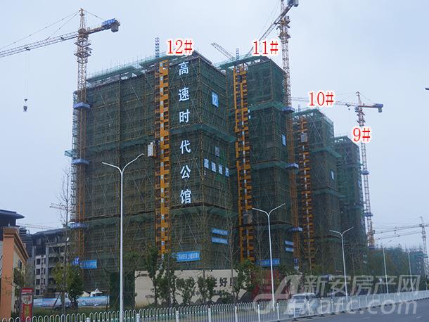 610.jpg