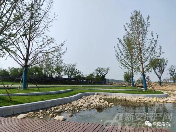 阜阳植物园烟霞湖一角 阜阳植物园烟霞湖一角