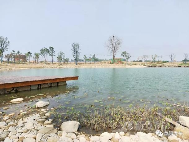 阜阳植物园烟霞湖一角 阜阳植物园烟霞湖一角