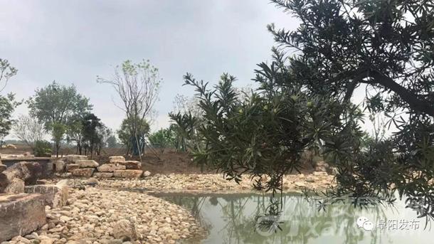 阜阳植物园烟霞湖一角 阜阳植物园烟霞湖一角
