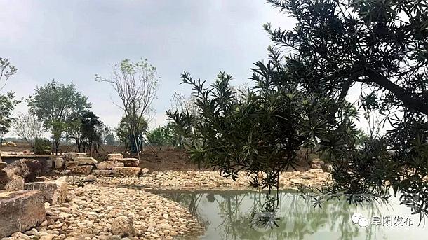 阜阳植物园石滩 阜阳植物园石滩