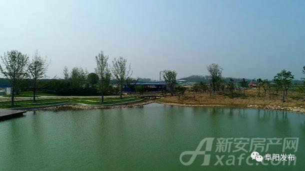 阜阳植物园烟霞湖面 阜阳植物园烟霞湖面