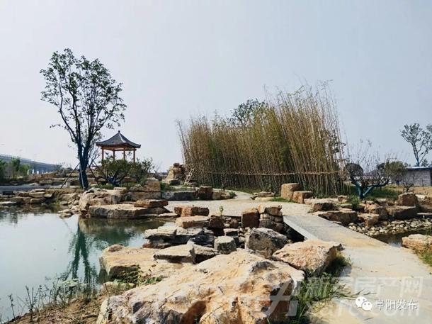 阜阳植物园烟霞湖一角 阜阳植物园烟霞湖一角