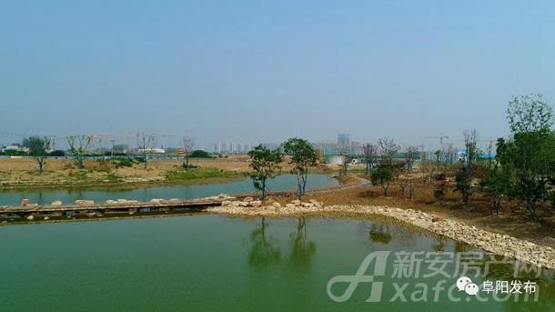 阜阳植物园烟霞湖面 阜阳植物园烟霞湖面
