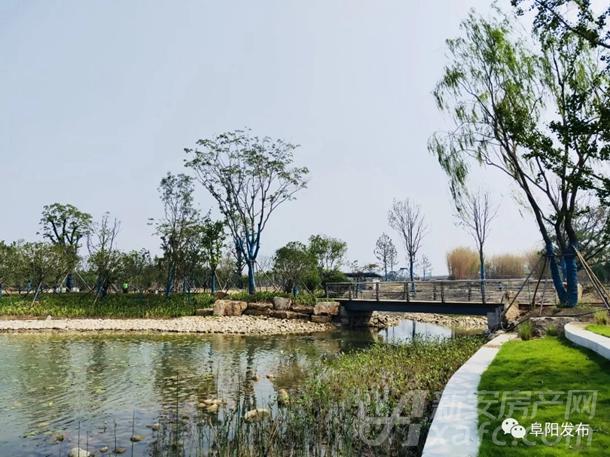 阜阳植物园梅园亭阁 阜阳植物园梅园亭阁