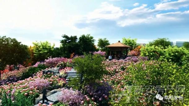 阜阳植物园北园百香园 阜阳植物园北园百香园