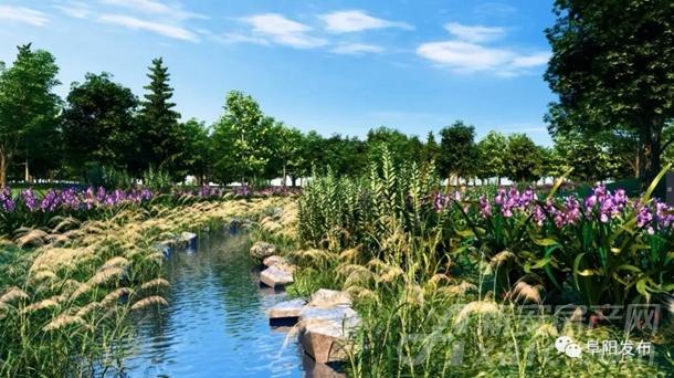 阜阳植物园西园水生园 阜阳植物园西园水生园