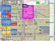 新安关注