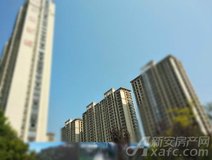 新安关注