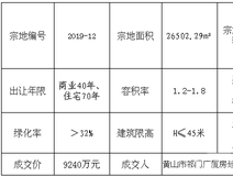 看地报告