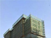 项目进度